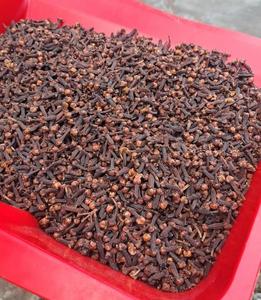 Clous de girofle noirs séchés de qualité supérieure, traités par procédé AD, herbe fraîche de croissance naturelle, goût épicé, approvisionnement en vrac de 30 kg avec une durée de conservation de 12 mois - Product Image 2