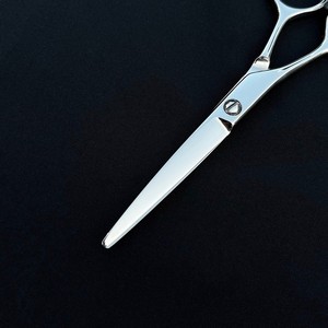 Ciseaux de coiffure professionnels en acier inoxydable argenté de 5,5 pouces, lame droite pour gaucher, plaqués titane, pour salon de beauté - Product Image 4
