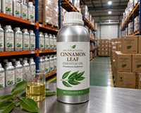 Huile Essentielle de Feuille de Cannelle Naturelle Pure à 99,5% (Cinnamomum Cassia) Distillée à la Vapeur en Inde, Parfum Herbacé Épicé, Aromathérapie, Soin de la Peau
