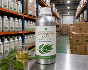 Aceite Esencial de Hoja de Canela 99.5% Puro y Natural (Cinnamomum Cassia) Destilado al Vapor en India, Aroma Especiado Herbal para Aromaterapia y Cuidado de la Piel - Product Image 4
