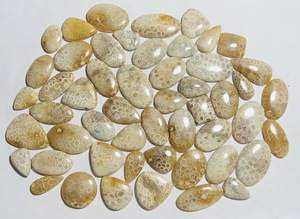 พลอยปะการังฟอสซิลอะกาไทต์ธรรมชาติแบบคาโบชองขายส่ง |   หินลายฟอสซิลทะเลที่ไม่เหมือนใครสำหรับแหวน จี้ ต่างหู - Product Image 2
