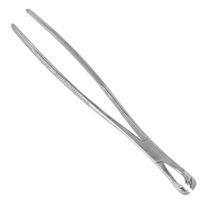 Pinzas Dentales Profesionales para Caballos, Kit Quirúrgico para Extracción de Dientes Equinos, TARIQ MFG CO - Product Image 6
