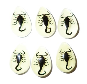 Black Scorpion Real Specimen Plastic Cabochon Pear Shape Cut <b>Top</b> 33x22 mm Glow Flat Bottom for Crafts and Jewelry Making - Product Image 3