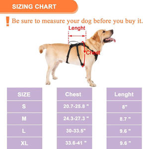 Adjustable XS <b>Dog</b> <b>Harness</b> with Handle 5-Point Escape Proof Nylon Anti-Pull Support Lift <b>Small</b> <b>Dogs</b> Outdoor Safety - Product Image 6