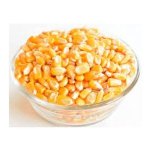 Maïs jaune en grains de qualité alimentaire, nutrition animale haute énergie, alimentation pour bétail, volailles et bovins, vente en gros, approvisionnement en vrac, exportateur - Product Image 3