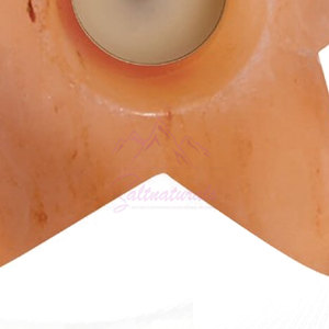 Lámpara de Sal con Forma de Estrella, Precio al por Mayor, 100% Sal del Himalaya Pura, Lámpara de Sal con Forma de Estrella, Recién Llegada - Product Image 5