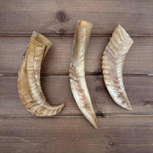 เขาแกะธรรมชาติคุณภาพพรีเมียมสำหรับงานฝีมือ - Product Image 4