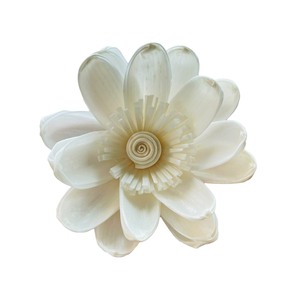 VADEE SOLA WOOD FLOWER Ocean Teal Garden Rose <b>Diffuser</b> Sola Wood Flowers Sustainable Craft Handmade Sesbania <b>Reed</b> Home Fragrance - Product Image 3