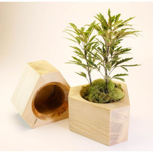 Maceta Geométrica de Madera al por Mayor, Moderna, Hecha a Mano, de Madera Natural, para Interiores, Decoración del Hogar y Oficina, Buen Precio - Product Image 2