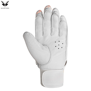 Guante de Cricket RACCOON SPORTS para Mano Derecha, PVC Transpirable, Cierre a Presión, Ligero, Estilo Deportivo, Construcción Tejida - Product Image 1