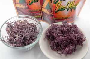 มอสทะเลสีม่วงจากเวียดนาม // มอสทะเลแห้งไอริชคุณภาพสูง // Ms. Beatrix - Product Image 2