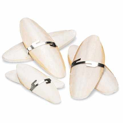 Dried Cuttlefish Bone