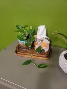 Plateau rectangulaire en bois avec motif végétal et poignée décorative pour servir thé, café, petit-déjeuner, style bohème, plateaux décoratifs - Product Image 4