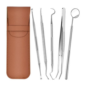 Kit de Herramientas Dentales, Juego de Limpieza Dental de 6 Piezas, Espejo Dental, Palillo, Espátula, Lima y Pinzas de Acero Inoxidable Profesional - Product Image 1