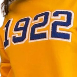 เสื้อสเวตเชิ้ตสีทองปี 1922 แบบยูนิเซ็กซ์ ลายกรีก สำหรับชมรมนักศึกษา คอกลม สีน้ำเงิน แต่งลาย ดีไซน์ลำลอง สไตล์พรีเมียม - Product Image 6