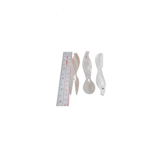 Shell Spoon fabriqué à la main à partir de coquillages naturels au Vietnam parfait du Vietnam en gros - Product Image 4