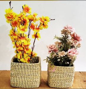 Juego de Macetas para Plantas de Hierba Moonj Hechas a Mano y Naturales - Product Image 1