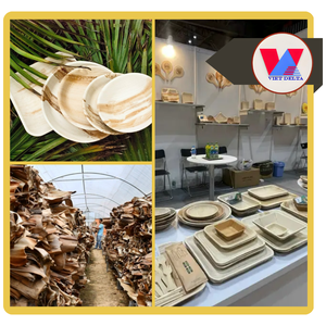 Platos Redondos Desechables Ecológicos con Diseño de Hoja de Palma, Aptos para Microondas, Ideales para Bodas Rústicas (GRAN VENTA) - Product Image 3