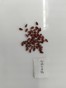 Granate Rojo Natural de 4.5x2.5MM, Corte Pera, Gema Suelta de la Mejor Calidad para Joyería - Product Image 4