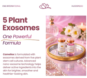 Sérum Camellia Exo No5 30mL Soin nourrissant pour le visage avec peptides et antioxydants pour le renouvellement et l'éclat de la peau - Product Image 2