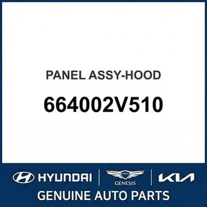 Paneles de Capó Nuevos para Veloster 664002V510 - Product Image 1
