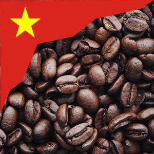 เมล็ดกาแฟอาราบิก้าและโรบัสต้าคั่ว ผู้ผลิต OEM สำหรับส่งออก พร้อมบริการบรรจุภัณฑ์แบรนด์ตามสั่ง สำหรับธุรกิจกาแฟเชิงพาณิชย์ - Product Image 1