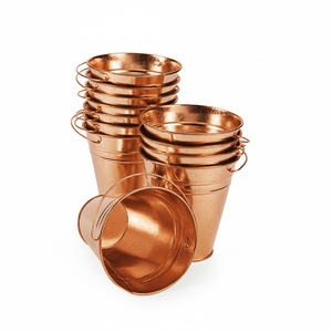 Pot de fleurs en métal couleur crème avec poignée, style rustique, pour jardin, fleurs, plantes vertes, décoration extérieure - Product Image 5