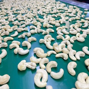 Hot Sale Best Rate Ww180, Ww320 Vacuum Packed Cashew <b>Nuts</b> Vietnam Cashew <b>Nuts</b> Wholesale Private Label Packaging Available - Product Image 1