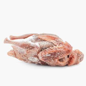 Pigeons congelés de qualité export abordables, viande de pigeon fraîche disponible dans le monde entier - Product Image 3