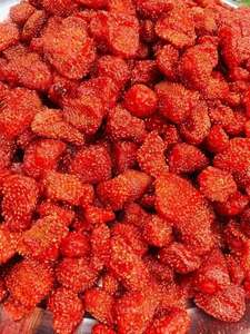 Fraises séchées moelleuses très demandées, naturelles, sucrées et moelleuses, fruits séchés, collation saine, qualité supérieure, vente en gros - Ms. Grace - Product Image 3