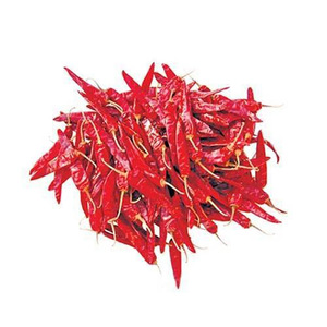 Proveedor Mayorista de Chile Seco Puro 100% de Alta Calidad, Tallo Entero Crudo para Uso en Cocina, 12 Meses de Vida Útil, Spicecentra - Product Image 1