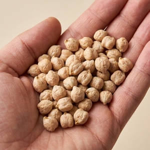 Garbanzos Kabuli Premium de 8-10 mm para Hummus y Enlatado, aptos para plantas de procesamiento de alimentos enlatados, deshidratación y envasado - Product Image 5