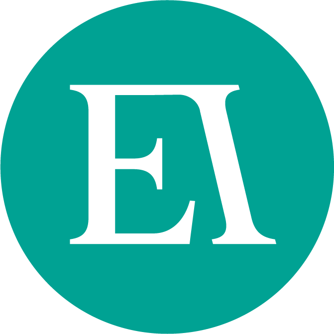 EVELLENE INTERNATIONAL logo