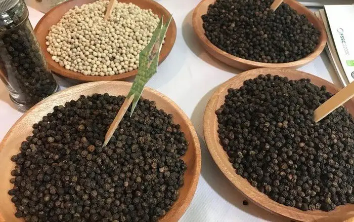 Fornecedor de fábrica preço de atacado pimenta preta do Vietnã pimenta preta 100% seca de alta qualidade