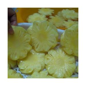 Meilleures ventes 2026 : Ananas séché moelleux pour les voyages et les repas instantanés – Pur fruit tropical, propre, sûr, alternative aux fruits déshydratés - Product Image 3