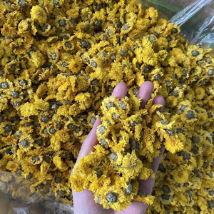 ชาดอกเบญจมาศแห้งจากเวียดนาม ชาดอกไม้แห้งทั้งดอก สำหรับชงดื่ม บรรจุภัณฑ์แบบขายส่ง จำหน่ายดอกเบญจมาศแห้ง - Product Image 1