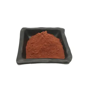 Natural Health Maritime Pine Extract Powder Pine Bark Extract 5:1-20:1