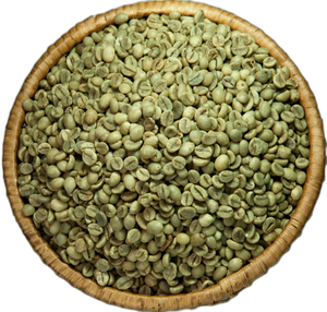 DHPONE Café Vert Robusta de Qualité Supérieure S13 Emballage en Vrac Direct Usine Gia Lai Vietnam 100% Robusta - Product Image 1