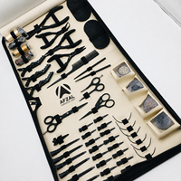 Kit d'outils pour extensions de cheveux AFZAL, en acier chirurgical, pinces, ciseaux, clips, perles, tout en un, style noir tendance