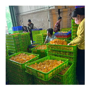 เนื้อมะพร้าวเขียวแช่แข็งสำหรับการแปรรูปอาหารและการใช้งานในครัวเชิงพาณิชย์ - Product Image 3
