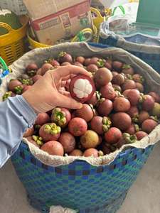 Mangoustan frais |   Fruits 100% biologiques en gros du Vietnam |   Meilleur prix et haute qualité - Product Image 2