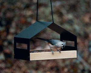 บ้านนกเหล็กสไตล์ชนบทสำหรับนกขนาดเล็ก ของตกแต่งสวน กล่องรังนกโลหะแบบแขวน ที่ให้อาหารนกกลางแจ้ง ของตกแต่ง - Product Image 5