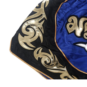 Nuevo Diseño, Ropa de Combate Personalizada para Clubes, Proveedor de Ropa Deportiva con MOQ Bajo, Pantalones Cortos de Kickboxing con Diseño y Talla Mixta, Shorts de MMA Personalizados - Product Image 3