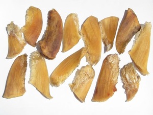 Delicias de Mariscos de Primera Calidad, Aletas de Tiburón Secas en Empaque a Granel para Restaurantes - Product Image 1