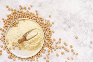 Aislado de Proteína Vegana 100% Pura de Garbanzo, Premium, para una Nutrición Alta en Proteínas, Fabricación de Alimentos Innovadora, FitTree - Product Image 2