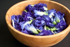 Fleur de pois papillon séchée, ingrédient naturel bleu pour la fabrication de boissons, le traitement du thé, approvisionnement en vrac direct du Vietnam - Product Image 2