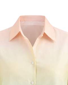 เสื้อเชิ้ตผู้หญิงแขนยาวสีพีชไล่เฉดเขียวมิ้นท์แบบกระดุมหน้า สไตล์ลำลองสำหรับใส่ทำงาน ผู้ผลิตเสื้อผ้าแบบ OEM สั่งทำได้ - Product Image 5