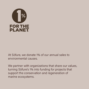 Peigne démêlant Sofure en bois de hêtre pour animaux de compagnie, fabriqué en Espagne, pour la production en gros, à prix abordable - Product Image 5