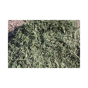 Compre Heno de Alfalfa y Timothy de Alta Calidad - Precios Accesibles y Envío Rápido para Necesidades de Alimento para Animales a Granel - Product Image 6