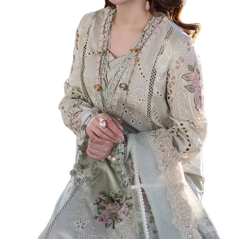 パキスタンの文化的なドレストラディショナルでファンシーウェアインドとパキスタンのスタイルをブレンドした有名なファンシードレス